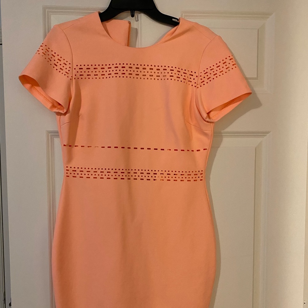 Elizabeth and James Ari dress - Picture 2 of 7